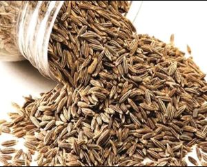 Brown Premium Whole Cumin Seeds, Packaging Size : 25 Kg Bag