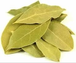 Olive Green Whole Bay Leaf, Packaging Type : 25 Kg Bag