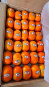 Natural Kinnow, Packaging Size : 10kg, Packaging Type : Carton