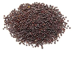 Black Mustard Seeds, Packaging Type : Bag