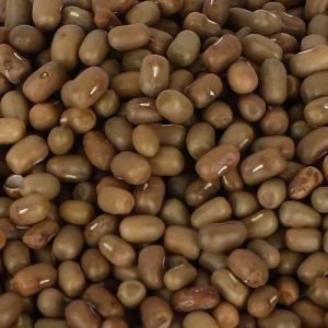 Food Grains & Cereals