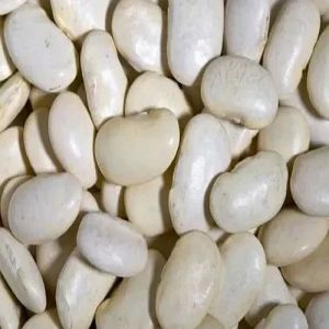 White Lima Beans, Speciality : Healthy for Cooking