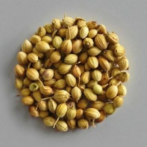 Yellow Coriander Seeds, Packaging Type : Bag Food Grade for Cooking