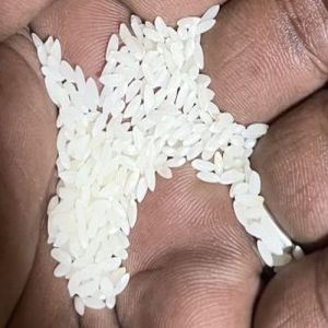 White Medium Grain Steamed Rice, Packaging Size : 25Kg for Cooking