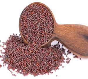 Black Organic Mustard Seeds Food Grade for Cooking