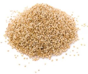 White Natural Sesame Seeds, Seed Type : Non-Hulle