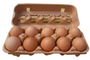 10 Pieces Fresh Brown Eggs, Packaging Type : Box