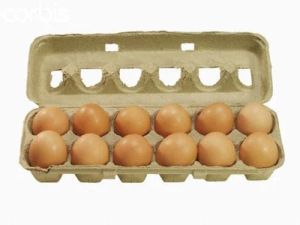 12 Pieces Fresh Brown Eggs
