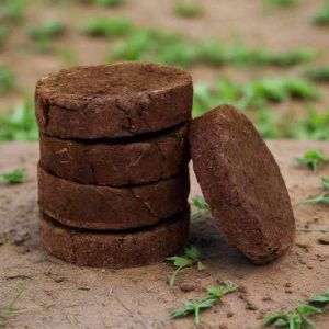 Cow Dung Cake, Color : Brown, Purity : 100%, Technics : Handmade