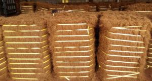 Coir Fibre Bales