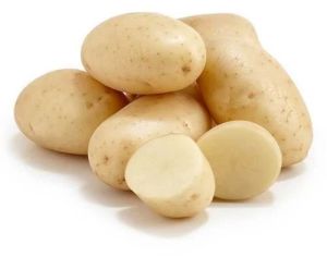 Premium Grade Fresh Potato
