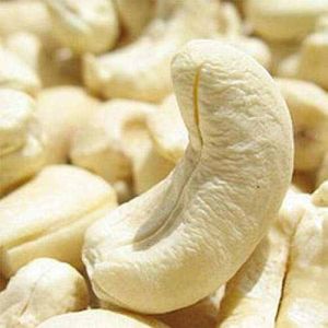 W240 Jumbo Whole Cashew Nut