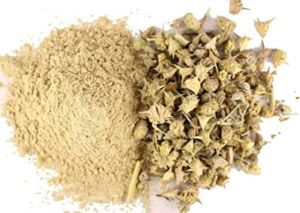 Gokhru Strength Booster Powder for Muscle & Fitness Support