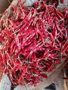 Dry Red Chilli