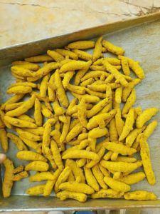 fresh turmeric