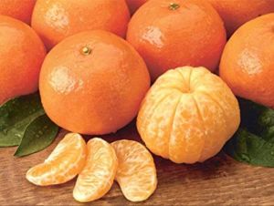 141 Grade Fresh Orange, Packaging Type : Carton Box