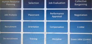 Human Resource Service