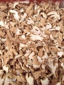 premium dried ginger whole