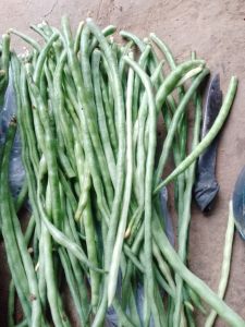 Green Chili Green Chili