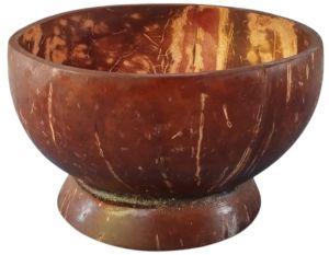Coconut Shell Bowl