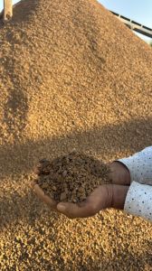 Iron Ore Fines Iron Ore Fines