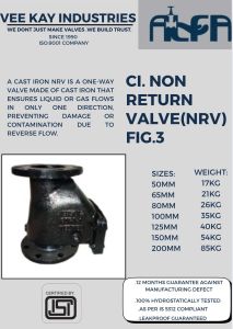 Cast Iron Non Return Valves