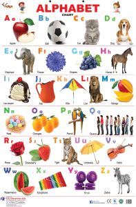 Paper Printed Kids Educational Charts, Color : Multicolour