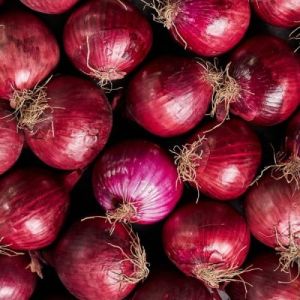 Fresh Red Onion, Packaging Type : Mesh Bags