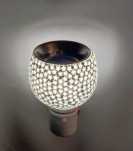 Electric Kapoor Dani