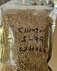 Natural Cumin Seed Jeera, Color : Brown