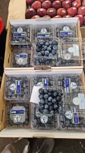 Blueberry Fruits