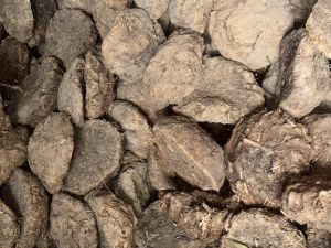 cow dung cake