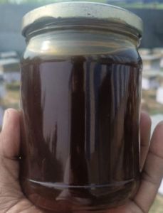 Raw Wild Forest Honey