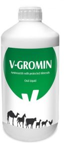 V Gromin Oral Liquid, Color : Transparent, Packaging Size : 500ml