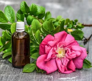 Organic Indian Rose Oil, Form : Liquid for Cosmetics