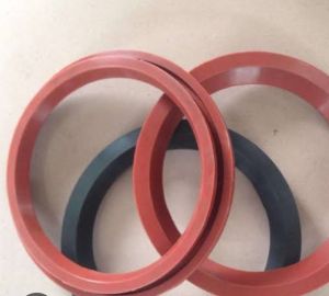 Dome Valve Seals
