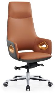 Director Revolving Chair