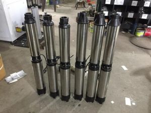 Electric Submersible Pump