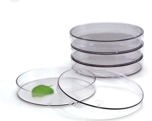 Glass Petri Dish, Shape : Round for Laboratory Experiments