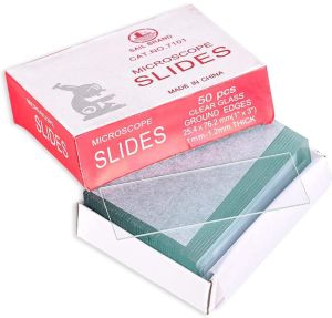 Glass Slides