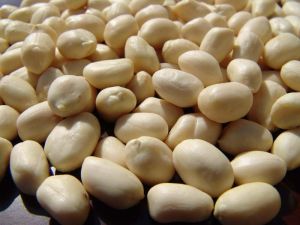 Blanched Peanuts, Purity : 100%