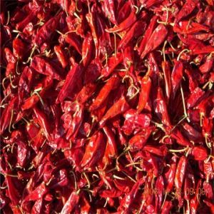 Red Chilli for Spices