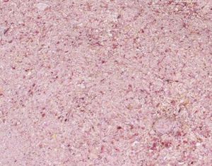 Dehydrated Pink Onion Granules