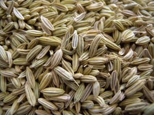 Fennel Seeds,  Type : Seeds