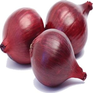 Fresh Red Onion, Packaging Type : 25 / 50 Kg Jute Bag