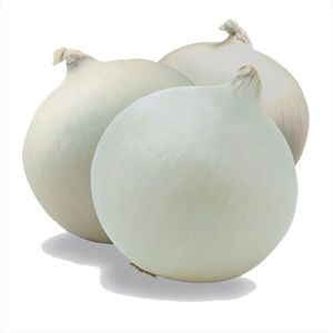 Fresh White Onion