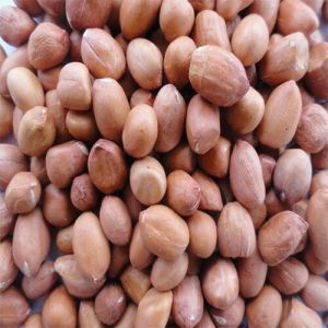 Java Peanuts For Direct Consumption