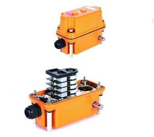 Crane Limit Switch