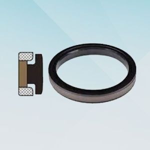 Spgw Piston Seal