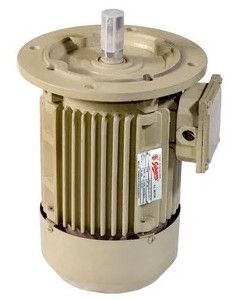 Soham AC Induction Motor